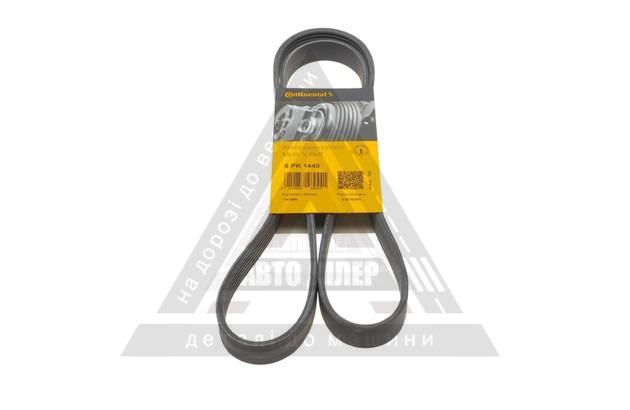 Ремінь генератора Citroen Berlingo/Jumpy/Fiat Scudo/Peugeot Partner 1.9D 98-/Hyundai Accent 02-05