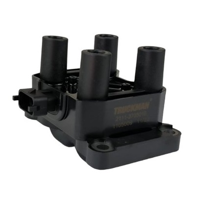 Модуль зажигания 2110-2115, 1117-1119 (8 кл) 1,5; 1,6 (3 контакта) (4601.3705) SKADI